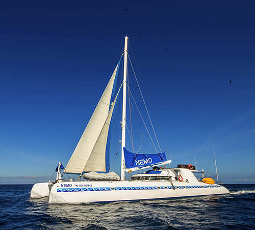 Feel Galapagos aboard S/C Nemo I