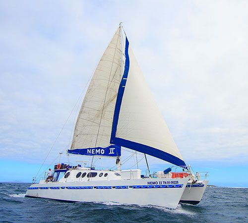 Feel Galapagos aboard S/C Nemo II
