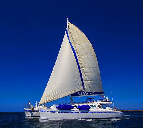 Feel Galapagos aboard S/C Nemo III
